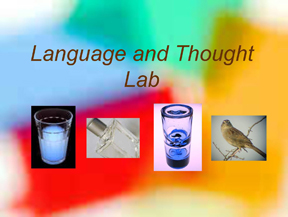 lab image